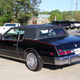 Illustration for article titled The most absurd dealership inventory ever is not reasonably priced! Velour Edition!